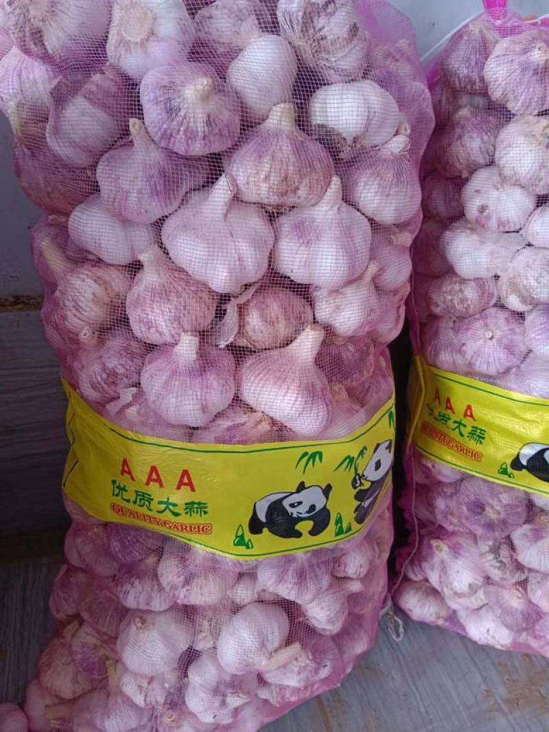 精品大蒜，产地直发，一手货源，价格优惠可视频看货代发全国