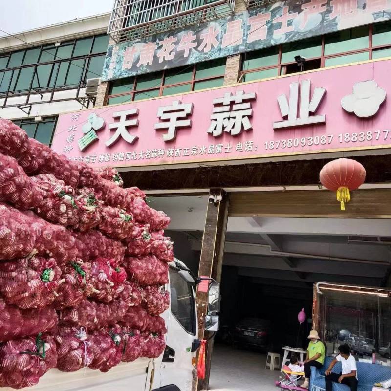 精品大蒜，产地直发，一手货源，价格优惠可视频看货代发全国