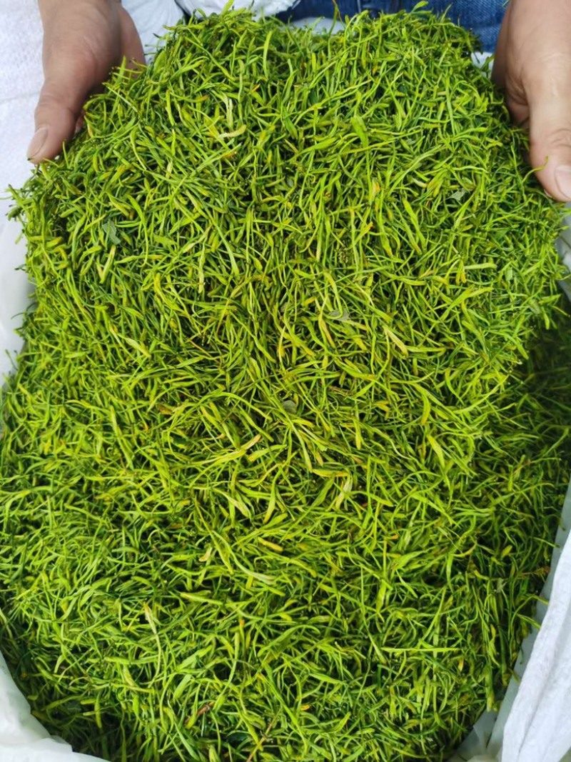 金银花