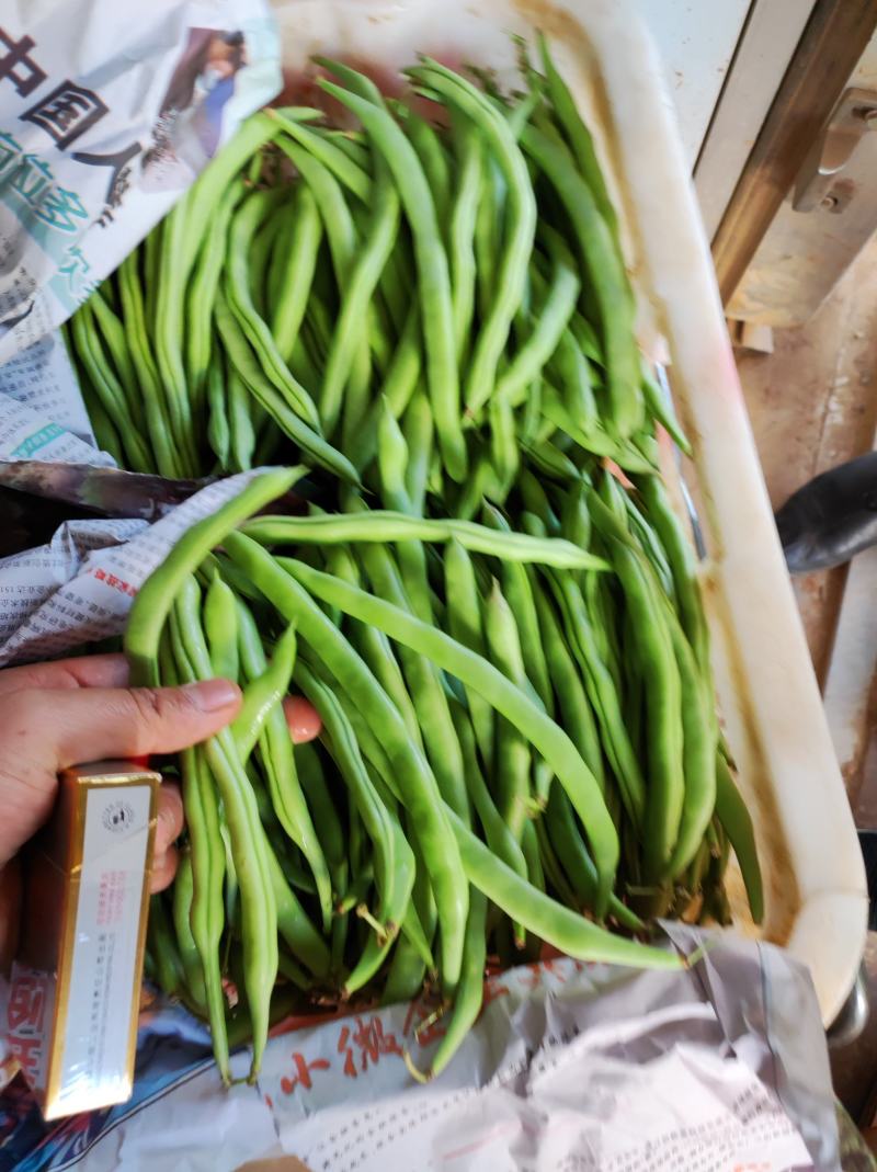 云南四季豆精品四季豆精品四季豆