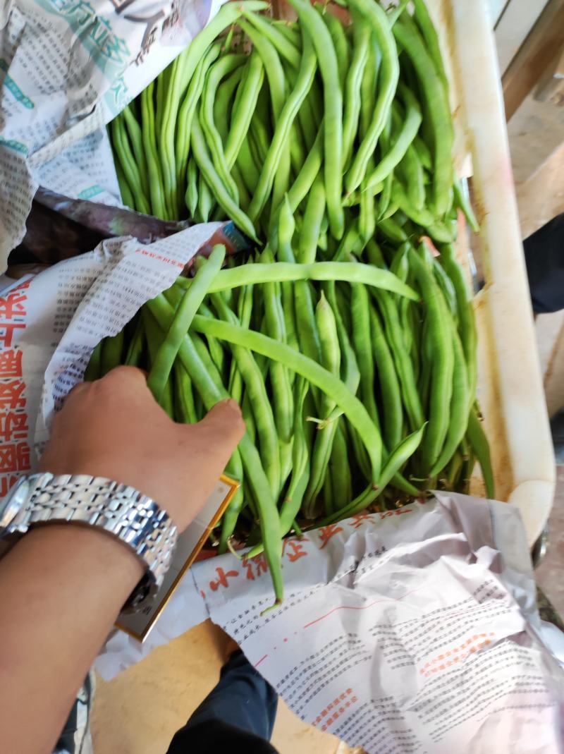 云南四季豆精品四季豆精品四季豆