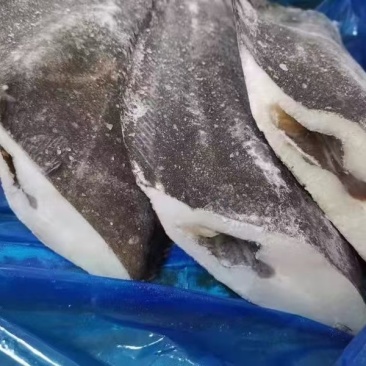 比目鱼身比目鱼头蝶鱼头蝶鱼身1-22-3