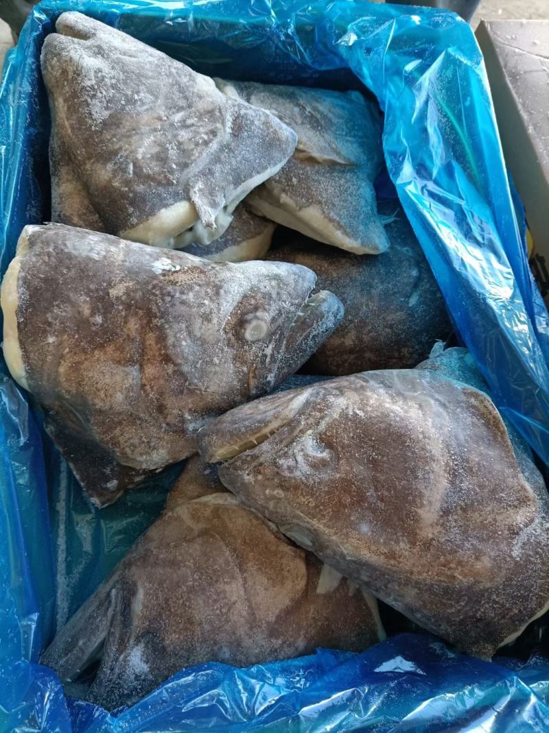 比目鱼身比目鱼头蝶鱼头蝶鱼身1-22-3