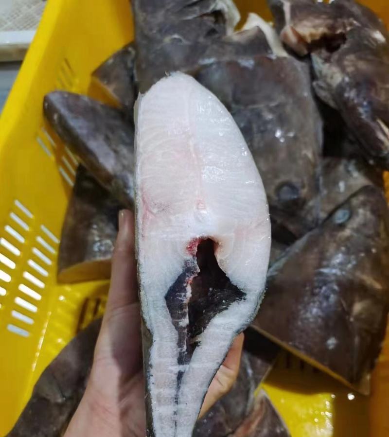 比目鱼身比目鱼头蝶鱼头蝶鱼身1-22-3