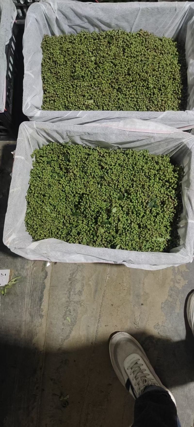 陕西渭南富平大红袍上市：颗粒饱满、味道麻香、色正干净。