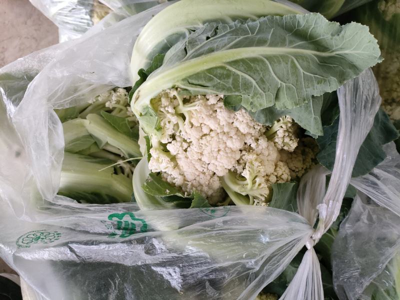 有机花白菜花白花菜有机菜花青梗散花松花菜