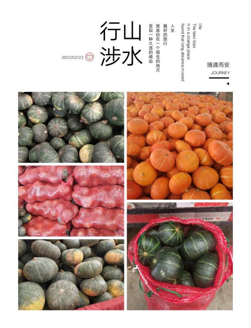 板栗南瓜
