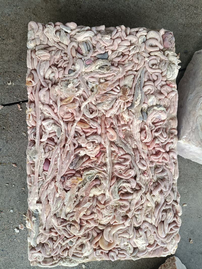 私聊鸡肠