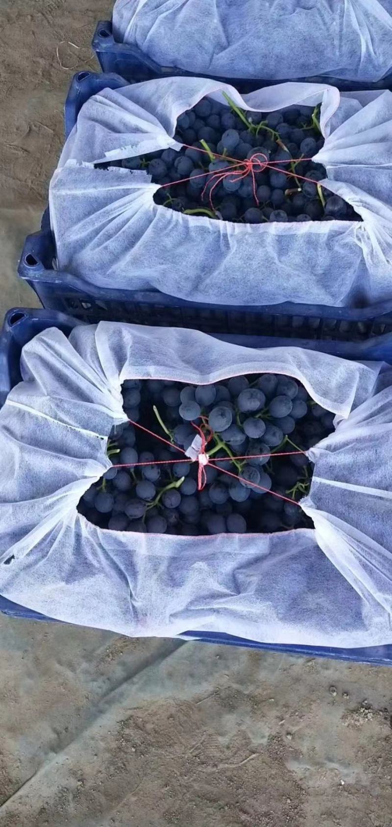 葡萄，精品夏黑葡萄，品质保证，口感香甜，产地直销发货。