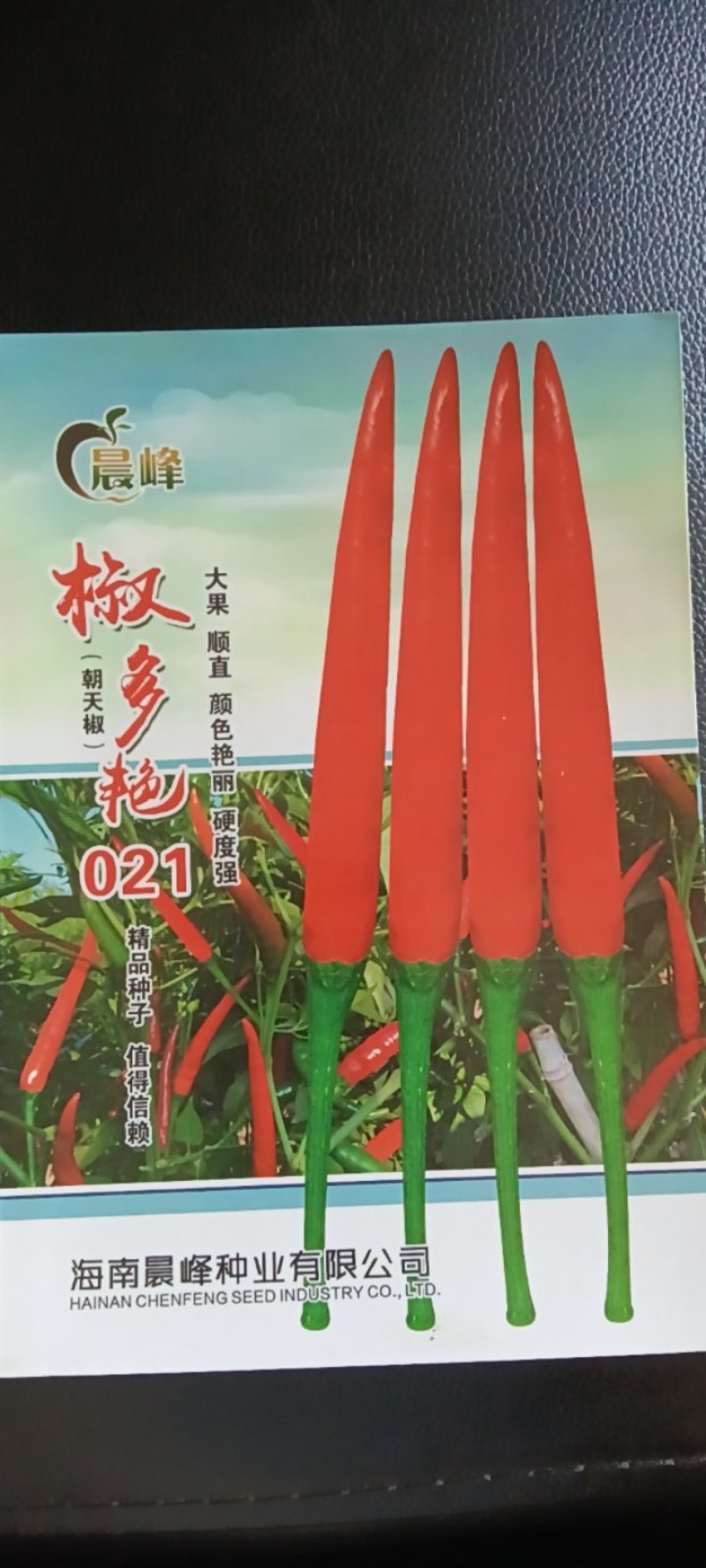 单生大果中早熟硬度好连续开花坐果强品质保证厂家发货