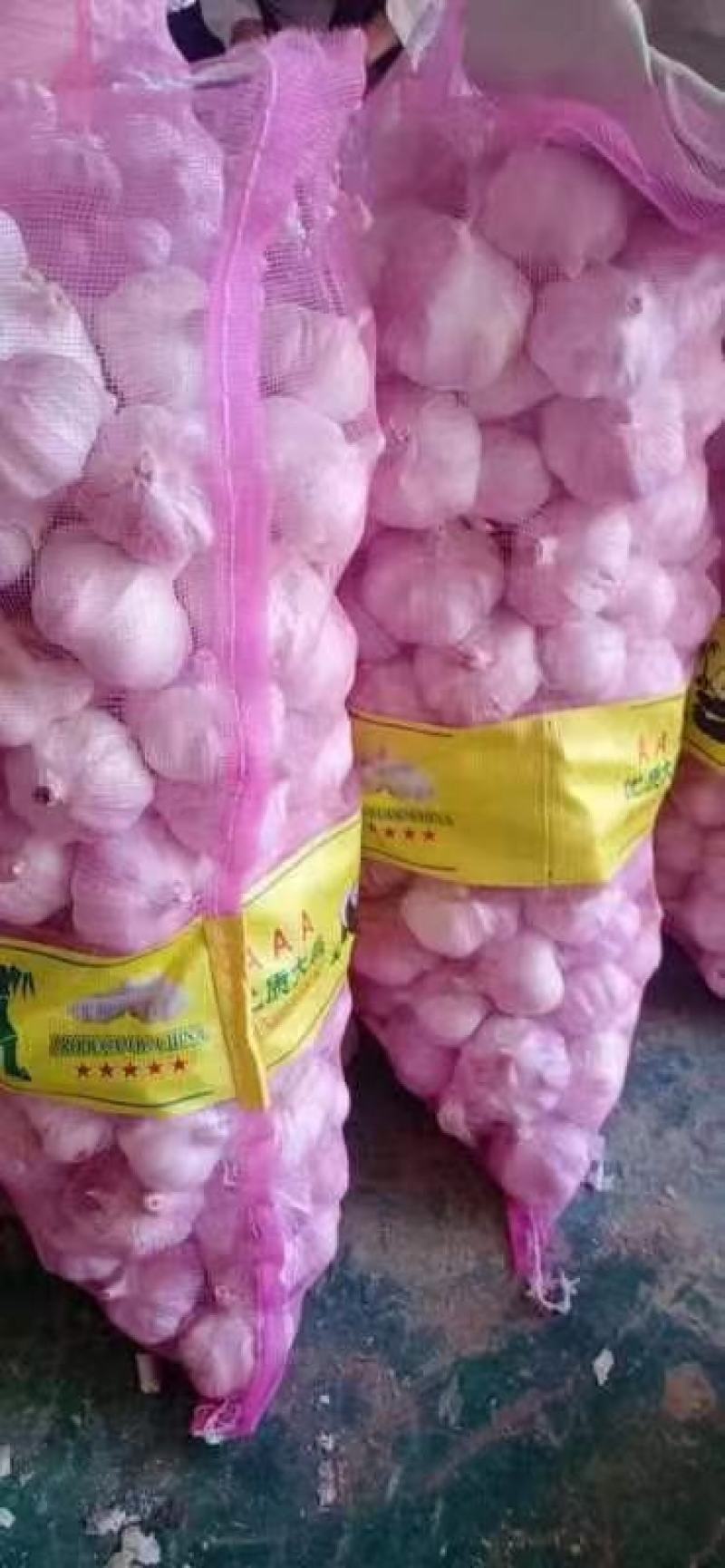 河南紫皮大蒜精品包装