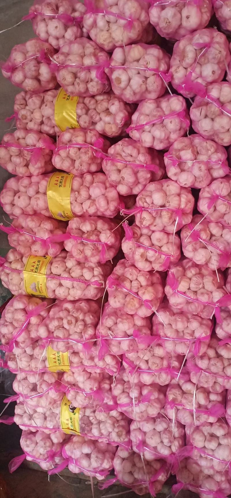 河南紫皮大蒜精品包装