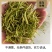 湖南山银花金银花湘蕾5号