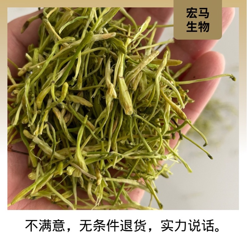 湖南山银花金银花湘蕾5号
