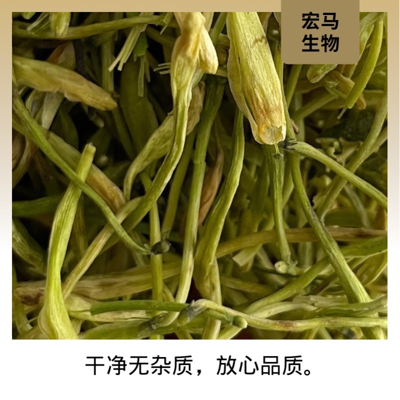 湖南山银花金银花湘蕾5号