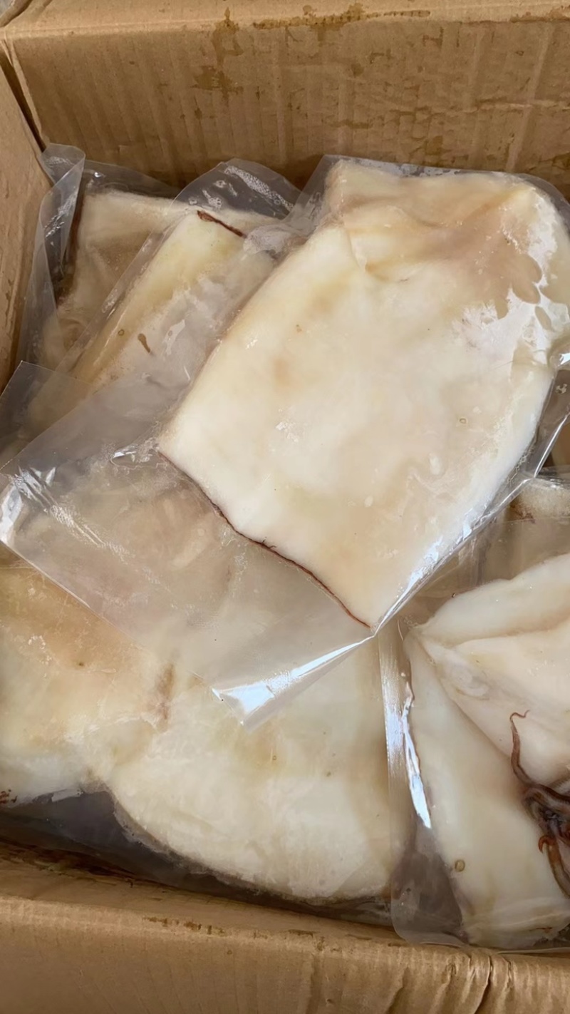 鱿鱼片整条去皮去内脏鱿鱼三去鱿鱼江苏海鲜水产带头鱿鱼