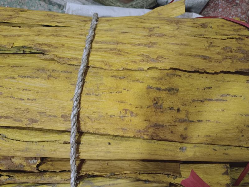 黄柏精品丝无青皮，双面黄个子，大量有货