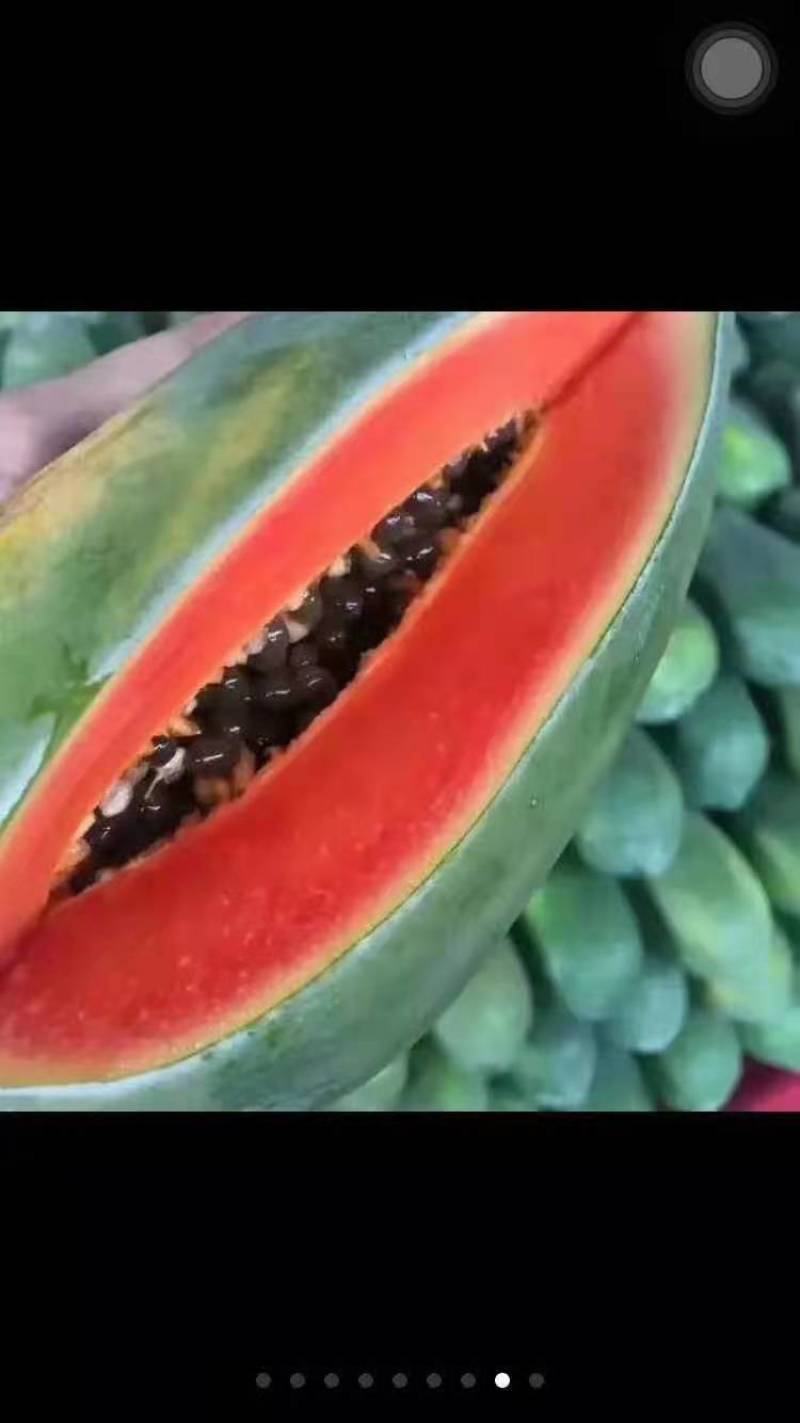 青木瓜（徐闻县特产又便宜又好看