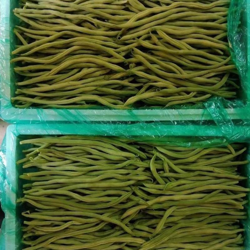精品豆角，脱水豆角