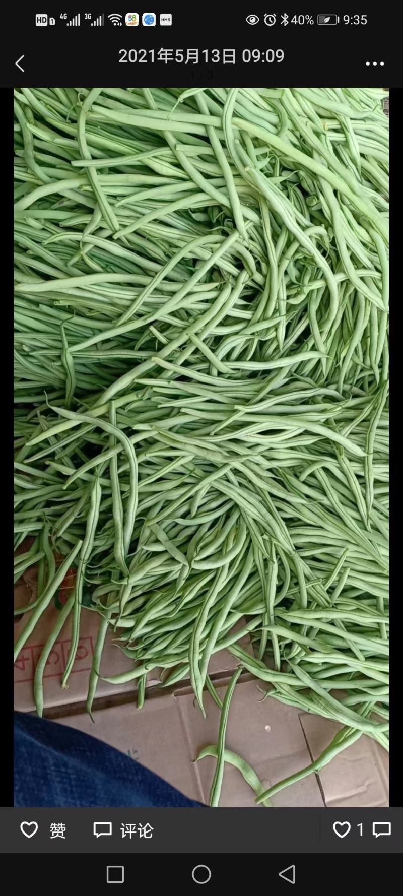 精品豆角，脱水豆角