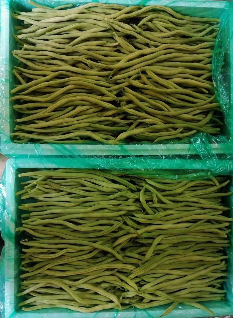 精品豆角，脱水豆角