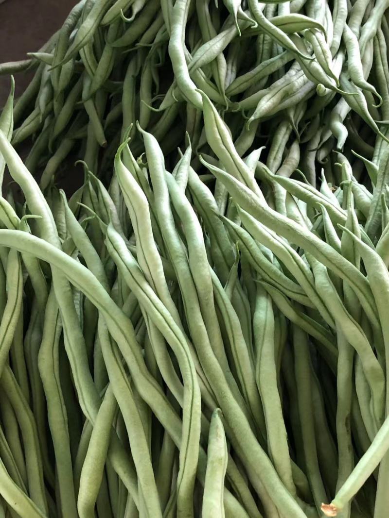 精品豆角，脱水豆角