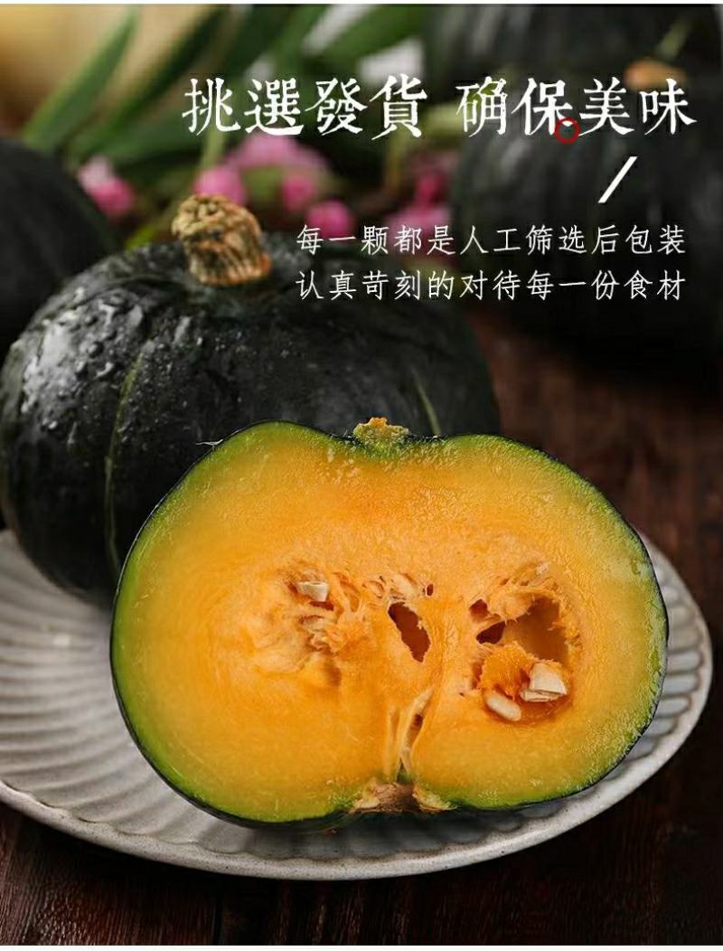真贝贝小南瓜正宗板栗味源头一件代发包邮接直播团购平台