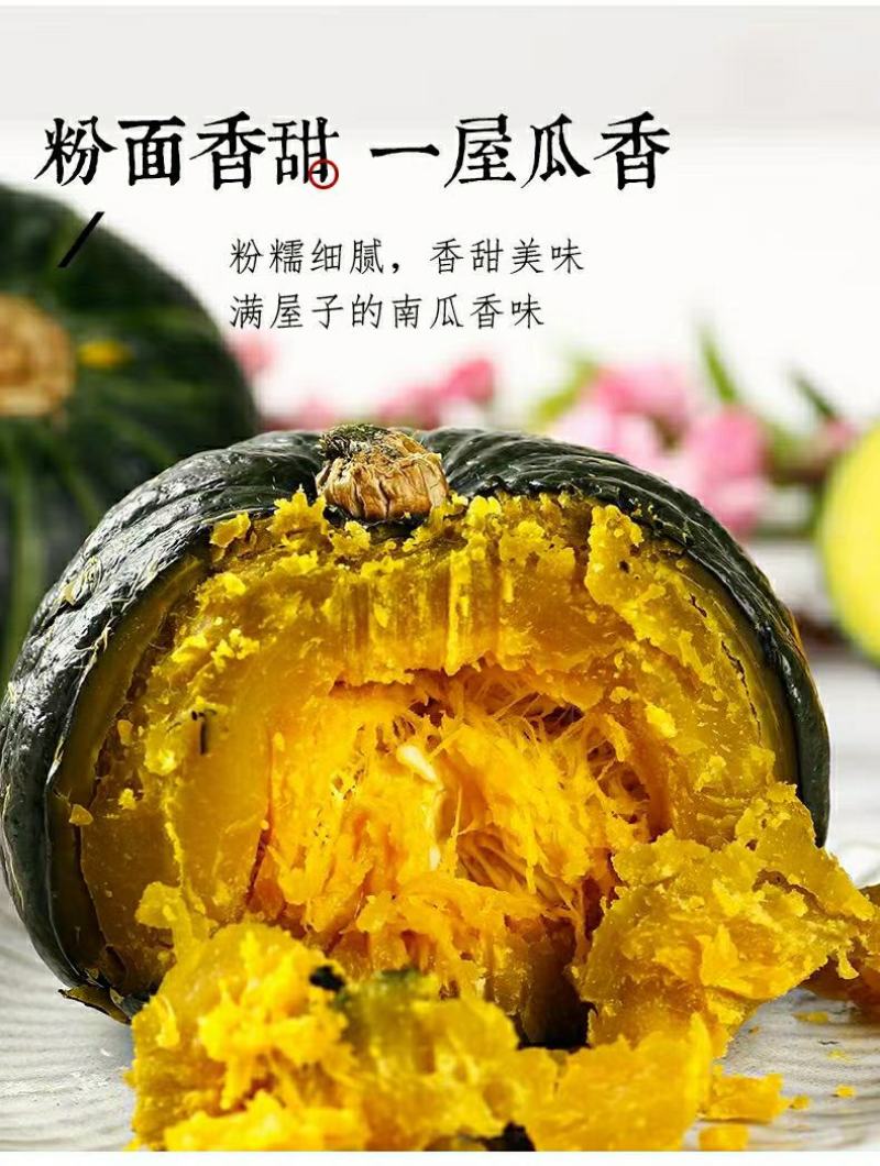 真贝贝小南瓜正宗板栗味源头一件代发包邮接直播团购平台
