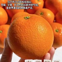 重庆奉节脐橙