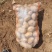 土豆大量供应、产地直销、质量保证、支持各种包装、欢迎采购