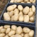 土豆大量供应、产地直销、质量保证、支持各种包装、欢迎采购