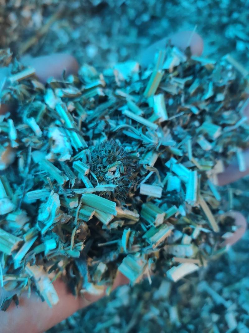 益母草干货益母草坤草中药材欢迎选购