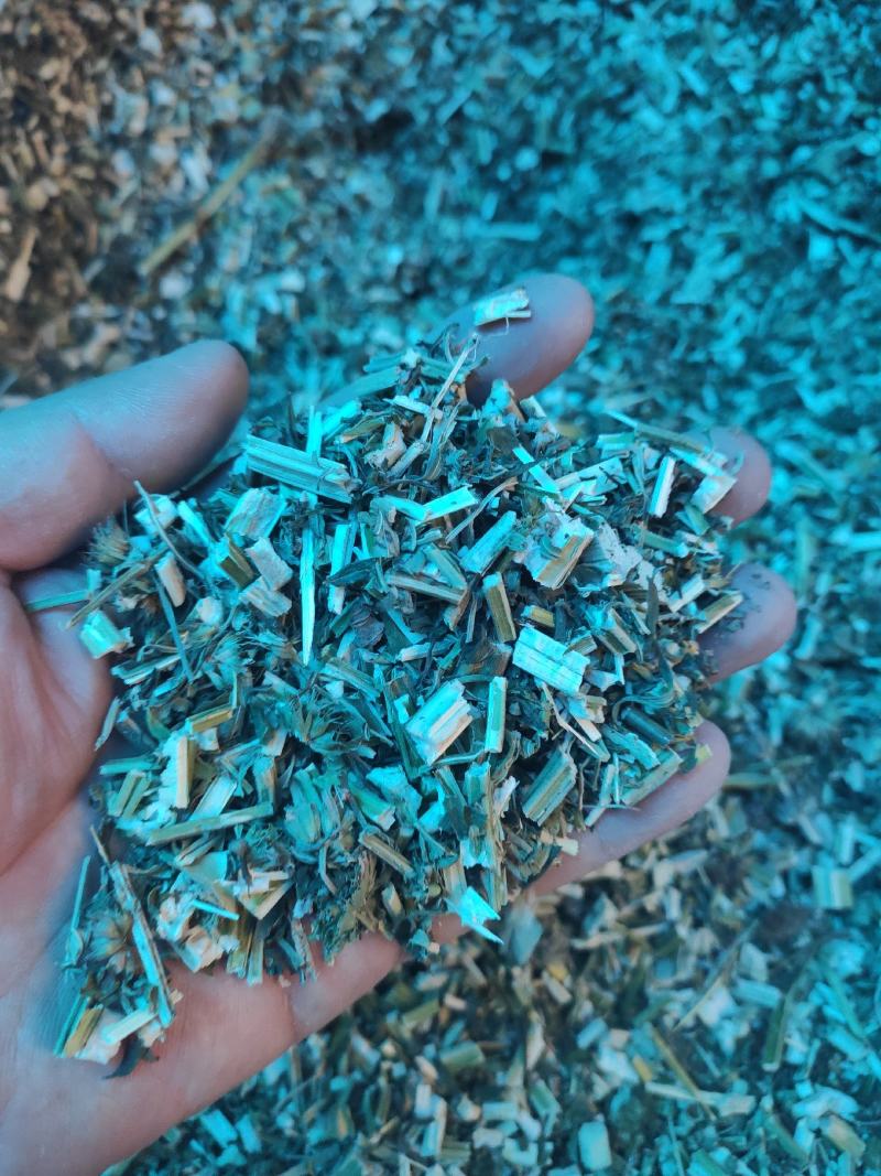 益母草干货益母草坤草中药材欢迎选购