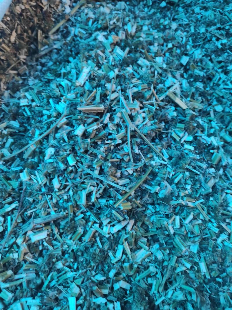 益母草干货益母草坤草中药材欢迎选购