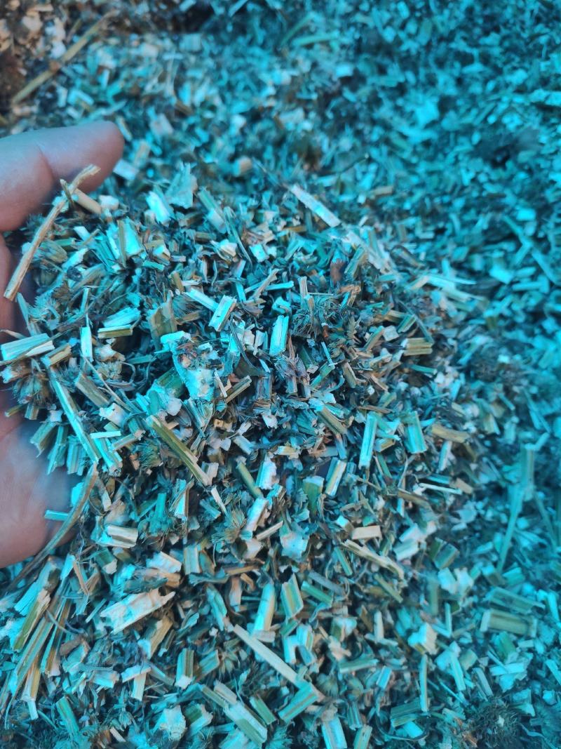 益母草干货益母草坤草中药材欢迎选购