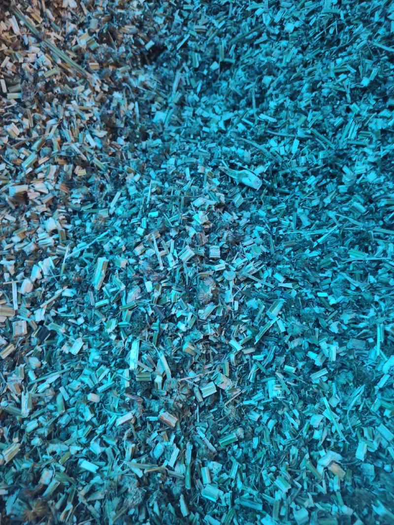 益母草干货益母草坤草中药材欢迎选购