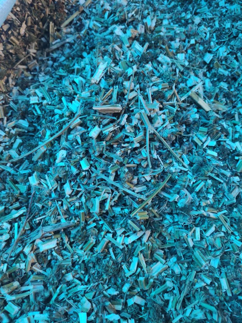 益母草干货益母草坤草中药材欢迎选购
