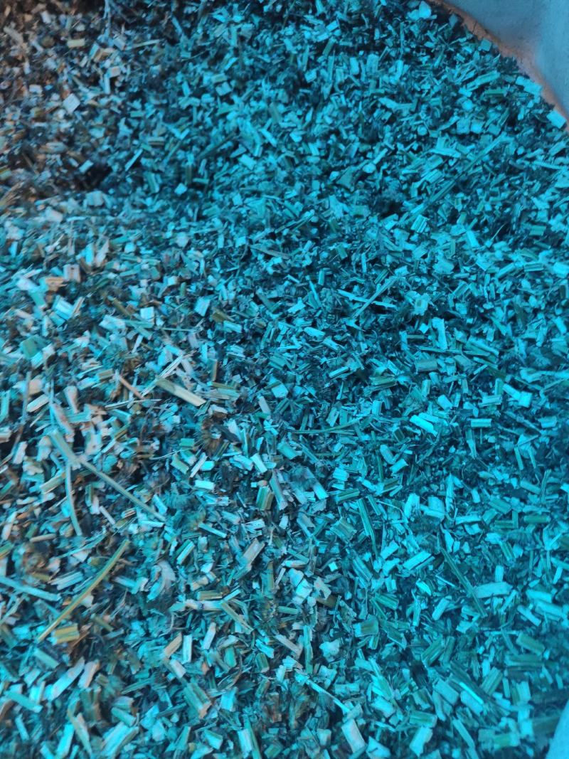 益母草干货益母草坤草中药材欢迎选购