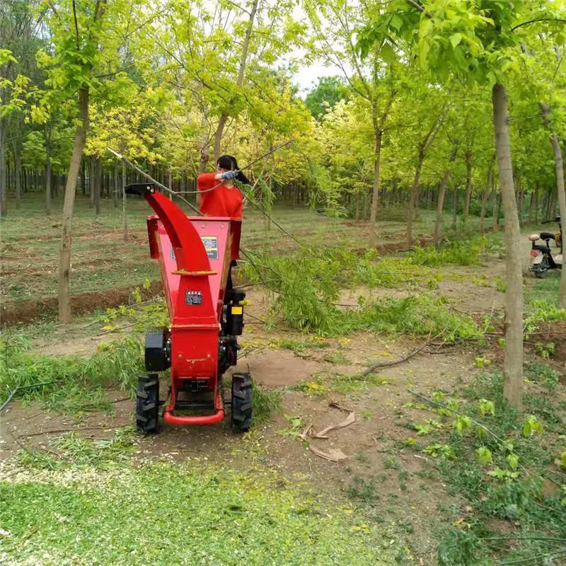 自动进料碎枝机干鲜两用果园树枝粉碎机辊轮卧式秸秆破碎