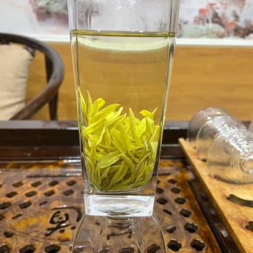贵州茶/黄金芽/高原茶/生态茶