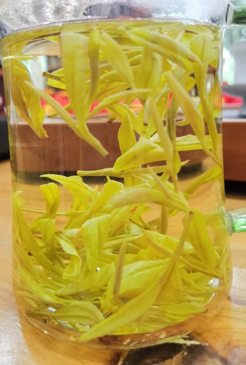 贵州茶/黄金芽/高原茶/生态茶