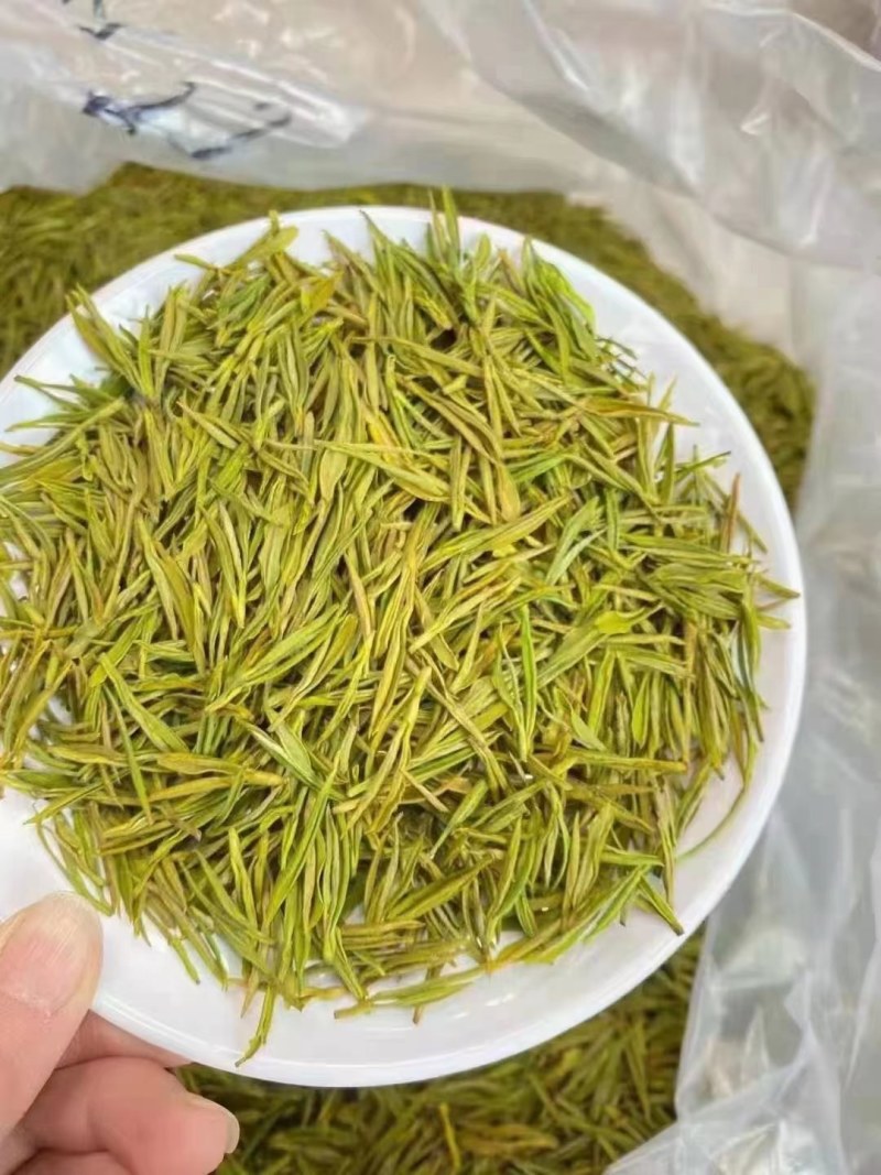 贵州茶/黄金芽/高原茶/生态茶