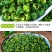 四川青花椒特麻特香青花椒颗粒饱满色香味俱全炖肉调料