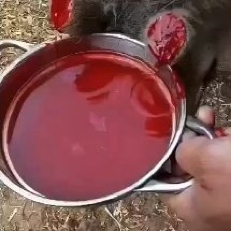 鹿茸血吉林产地直销质量保证包邮到家精品大量