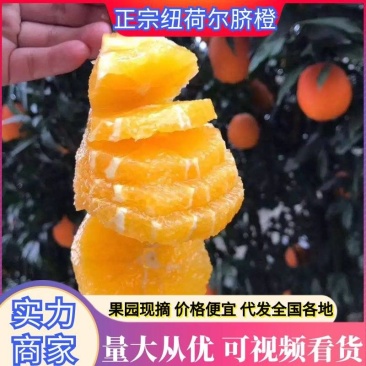 湖北脐橙(热卖中)原产地直发,价格便宜,货源充足视频看货