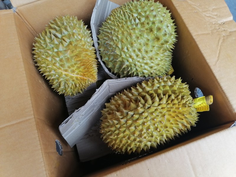 金枕榴莲