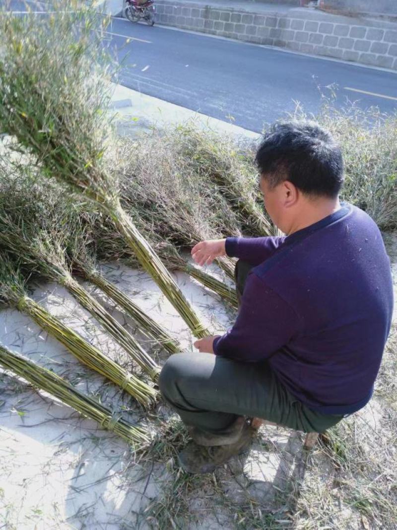 扫把，街道扫把和粮厂专用扫把。。。？？？