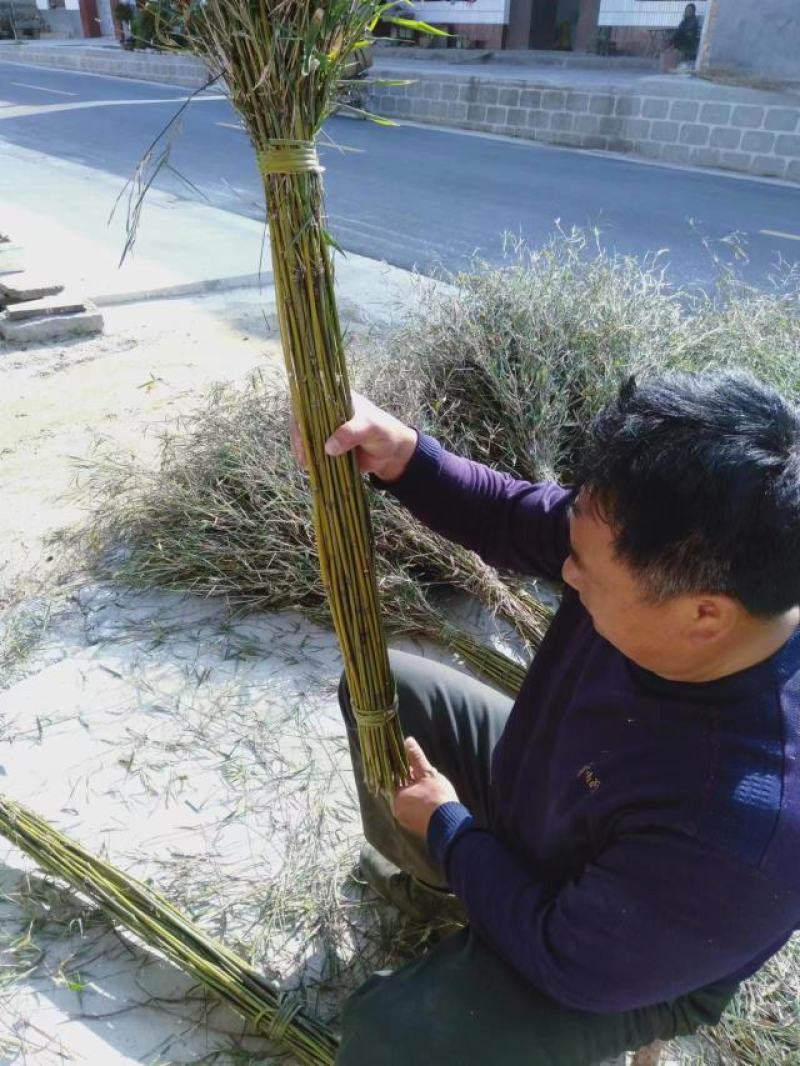 扫把，街道扫把和粮厂专用扫把。。。？？？