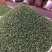 青花椒汉源青花椒麻味足跑江湖摆地摊货源