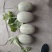 精品小蜜25头茬瓜大量有货，3到7斤，糖度达到16
